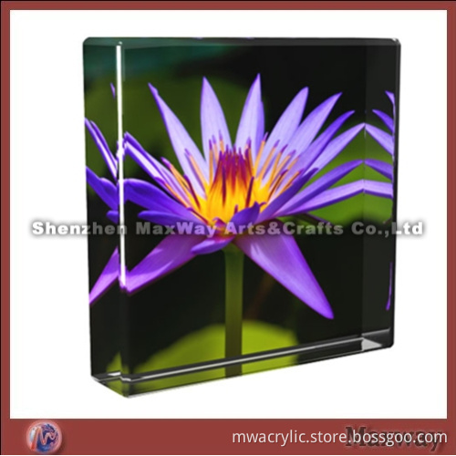Square High Transparence Acrylic Picture Frame